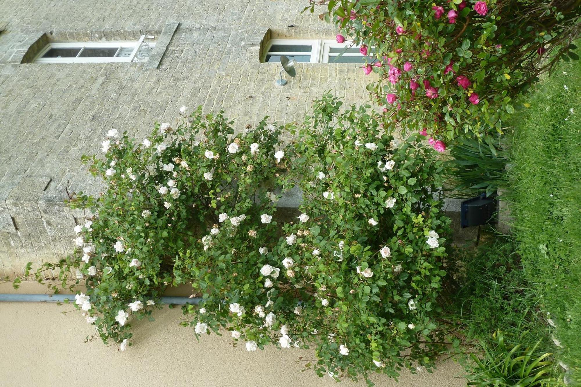 B&B L'Atelier Du Presbytere Saint-Maugan Exteriör bild